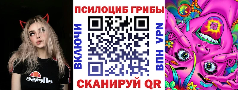 Псилоцибиновые грибы прущие грибы  Советск 